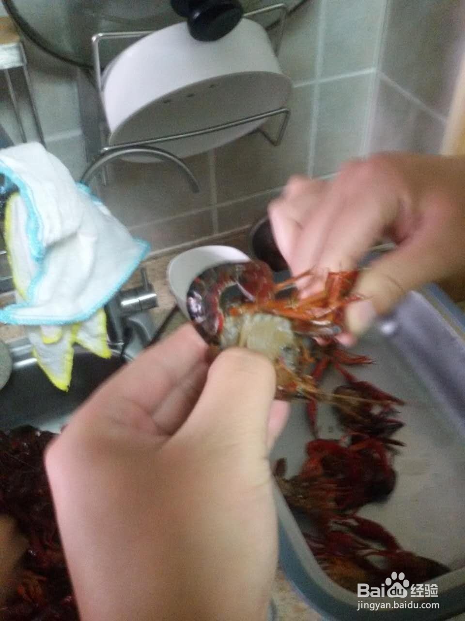 如何清洗小龙虾?