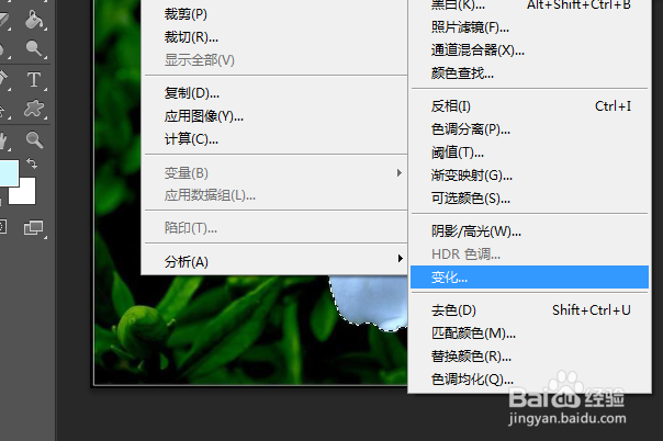 PS练习一百四十七栀子花