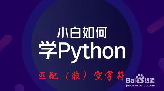 <b>Python：如何匹配（非）空字符</b>