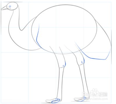 手工/爱好 > 书画/音乐2 画鸟脖子的形状.为其尾部添加一条线.