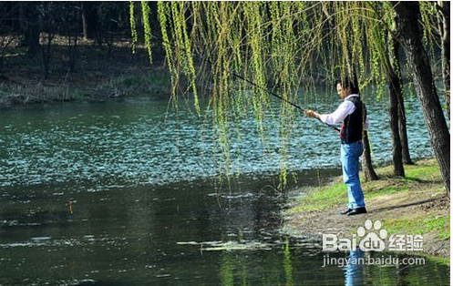 冬天钓鱼技巧让你大有收获