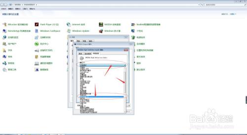 电脑中如何查询NVIDIA Output的基本容器 ID？