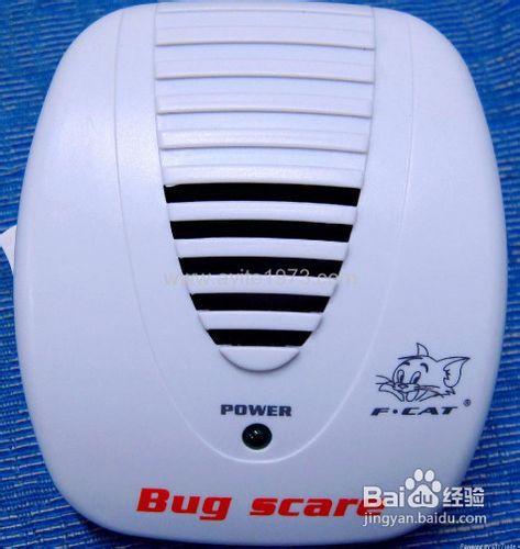 家里有蝙蝠怎么驱赶