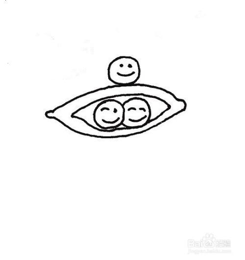 荷兰豆的简笔画