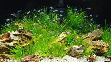 什么是生物圈
