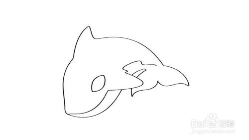 虎鲸怎么画才好看