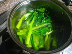 怎么做耗油菜心的攻略/步骤