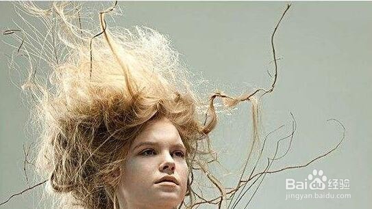 从根本了解头发所缺,才能有效强韧健康秀发