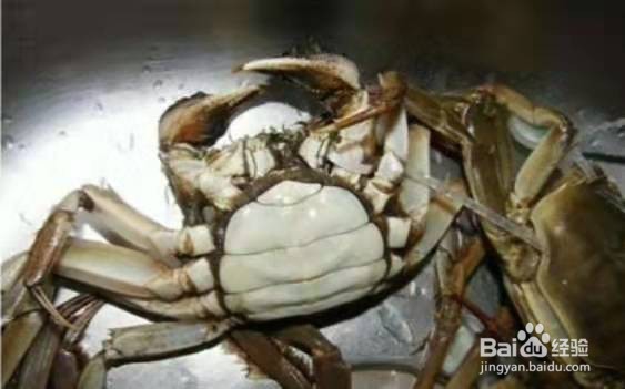 吃螃蟹应注意哪些事项