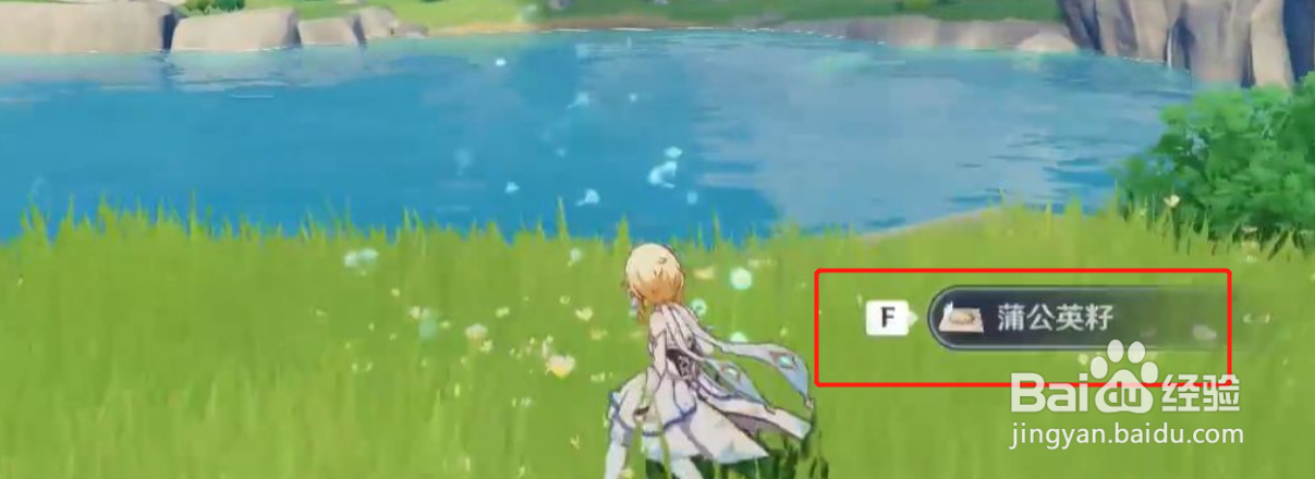 原神蒲公英籽怎么获得