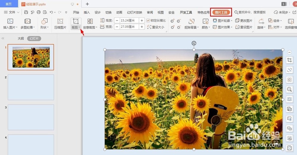 ppt中怎么裁剪图片
