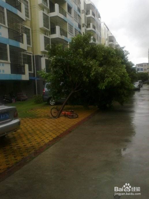 台风要来的时候怎么办？要注意哪些问题？