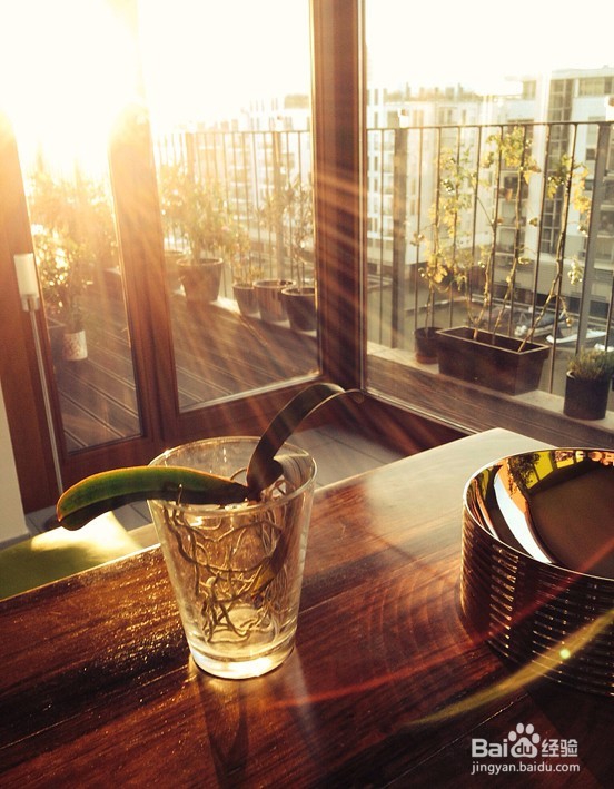 选购阳台窗，主要看这5方面。