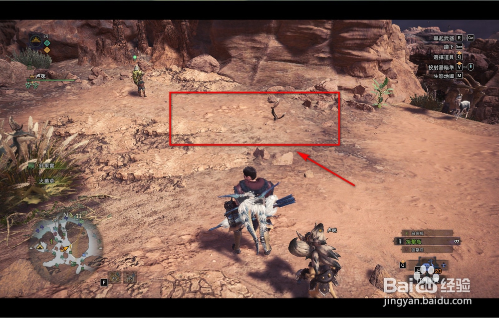 怪物猎人世界搬运蚁怎么捕捉