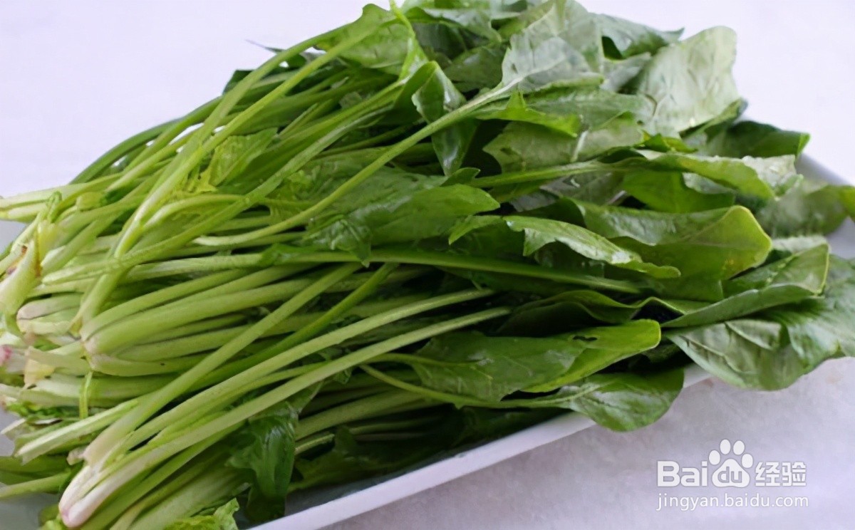 最养胃的十种食物