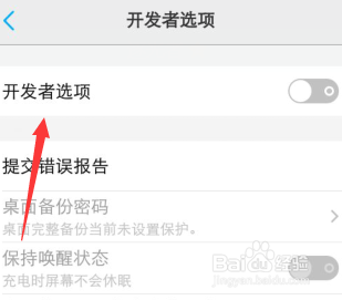 vivo手机怎么找到开发者选项