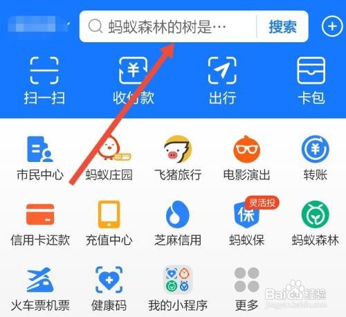 支付宝怎么查看健康码