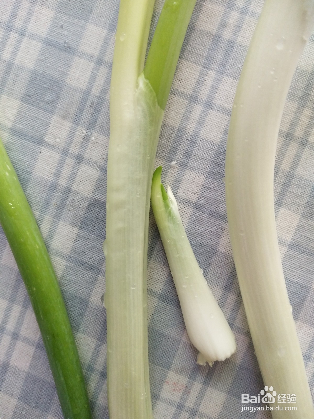 怎么做胡萝卜青椒丝炒肉