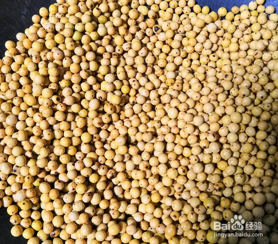 美味小吃---香脆炒黄豆