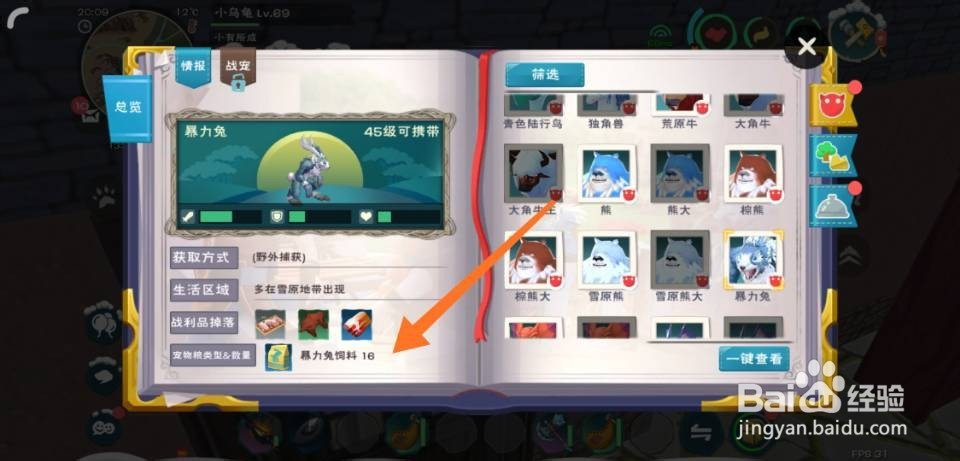 创造与魔法暴力兔饲料怎么做多少包