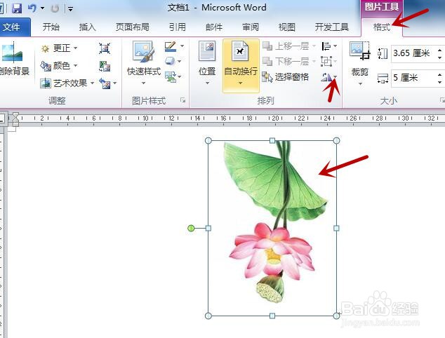 word中如何旋转图片以更正图片的角度？