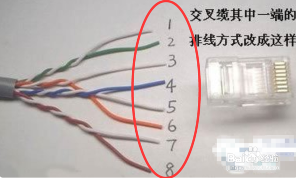 网线接头怎么接颜色怎么排