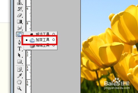 photoshop如何使用加深工具