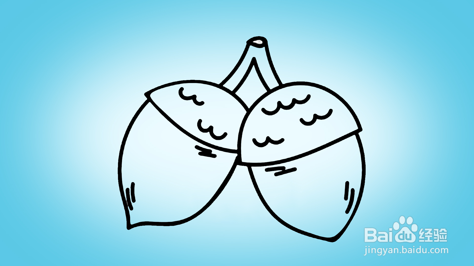 如何画卡通坚果