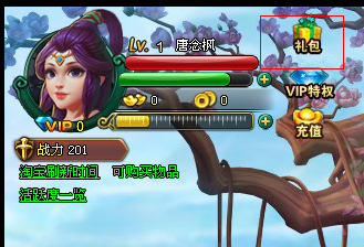 《龙回三国》豪华礼包的使用说明