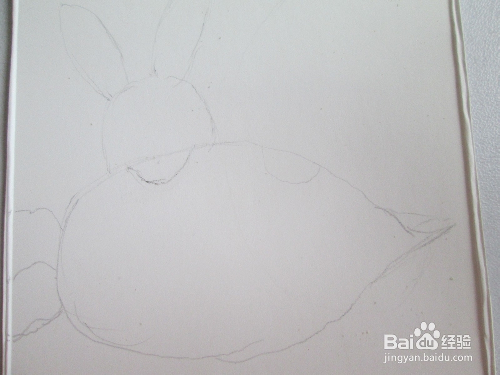 幼儿水彩笔画《兔子兄弟的萝卜》的作画步骤