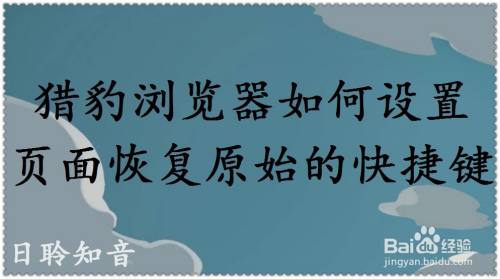 猎豹浏览器如何设置页面恢复原始的快捷键