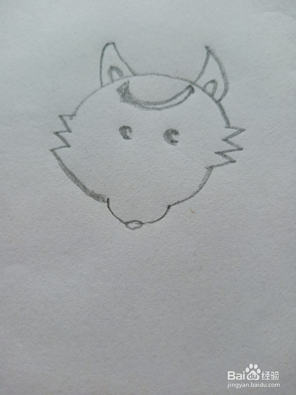 拿果实小动物简笔画