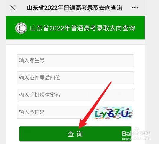 山东考生如何查询档案状态