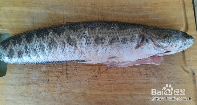 黑鱼二吃之雪菜春笋溜鱼片