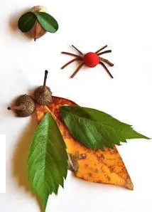 种子怎么制作粘贴画图片