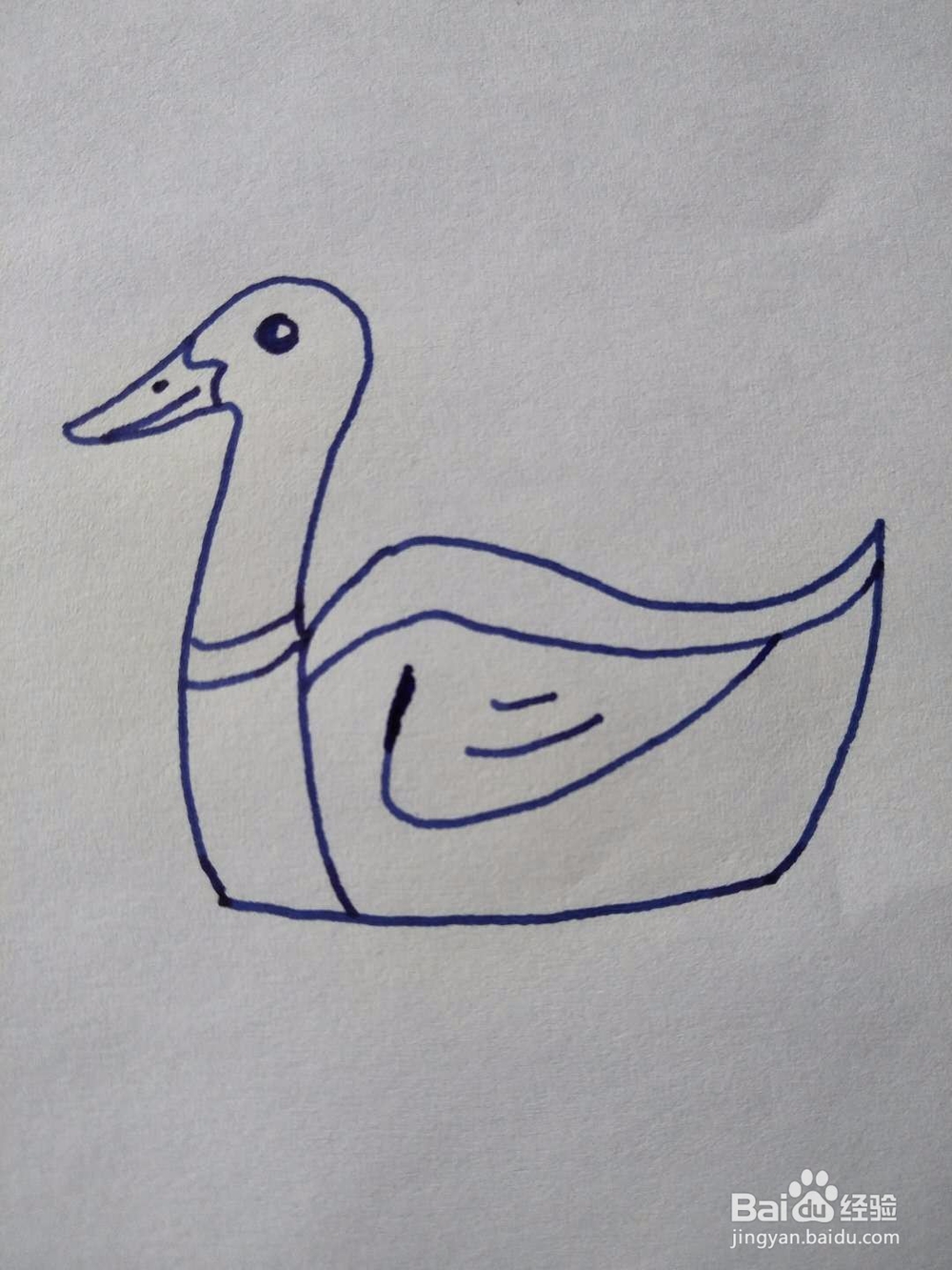 简笔画之浮水鹅