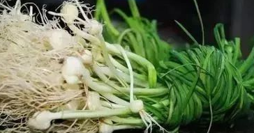 春天适合吃什么野菜