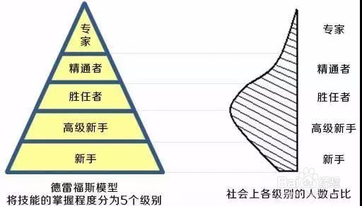 怎样学习才能成长为专家高手？
