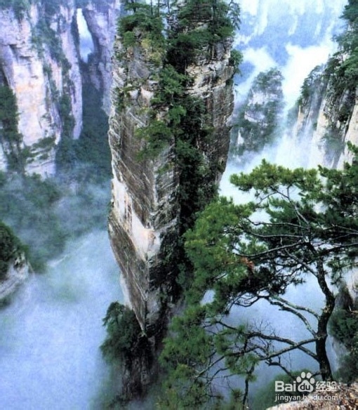 钦州到张家界自驾游