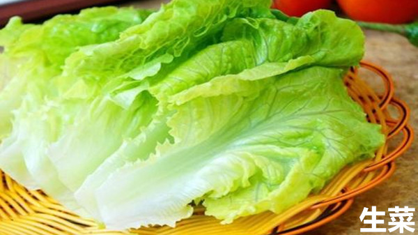 生菜和卷心菜的区别是什么