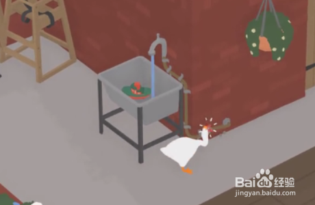 捣蛋鹅之如何做一只人人喊打的鹅四