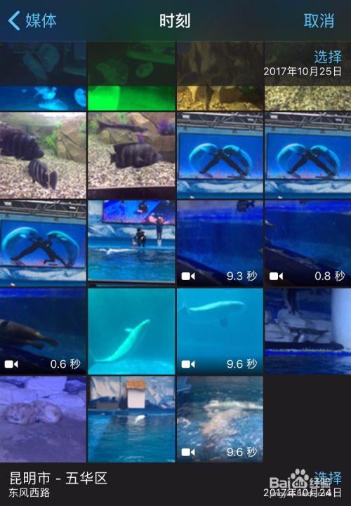 如何在iPhone中使用iMovie处理视频