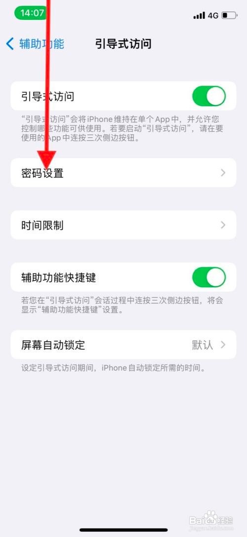 苹果系统引导式访问在哪里设置访问密码？