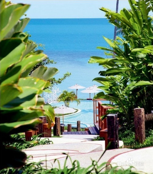 幸福修养 苏梅岛文化环岛之旅