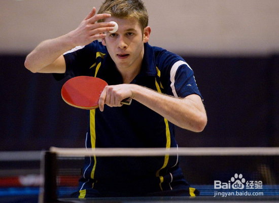 新手应该怎样学习乒乓球？