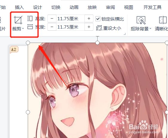 ppt图片怎么局部裁剪