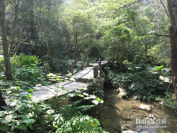 桂林伴漓:炎炎夏日,远离人人,感受古东魅力!