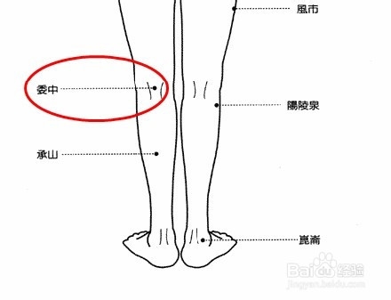 <b>减肥系列之瘦小腿的好办法——刮痧委中</b>