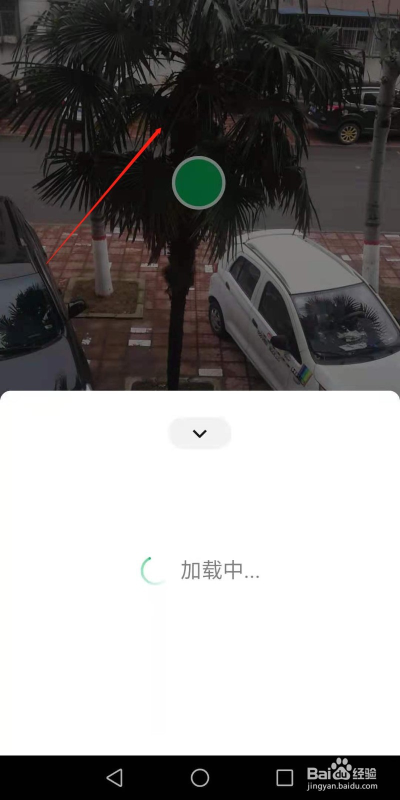 怎样用微信帮助我们识别花草树木