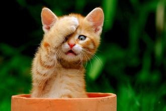 怎样才能提高微信软文阅读量